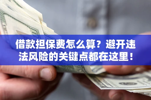 济南借款担保费怎么算？避开违法风险的关键点都在这里！