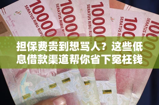 济南担保费贵到想骂人？这些低息借款渠道帮你省下冤枉钱