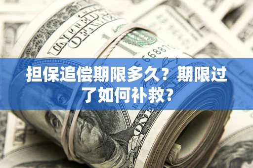 济南担保追偿期限多久？期限过了如何补救？