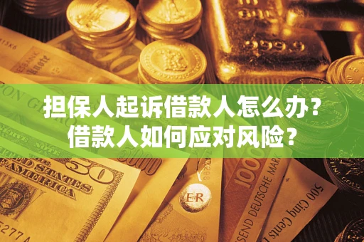 济南担保人起诉借款人怎么办？借款人如何应对风险？